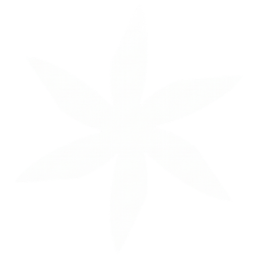 Verto